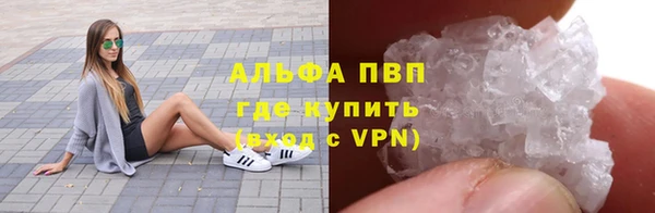 трава Лабытнанги