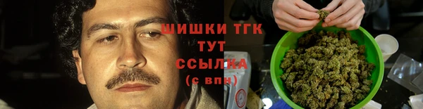 Альфа ПВП Ладушкин