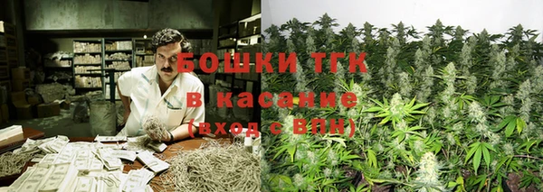 трава Лабытнанги